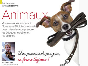 Promener son chien chaque jour, article rédigé par Julie Willems, comportementaliste chiens à Auderghem