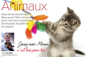 Jouer avec son chat, article rédigé par Julie Willems, comportementaliste chats Auderghem