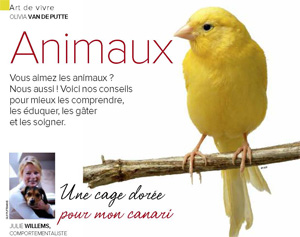 Une cage dorée pour mon canari