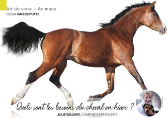 S'occuper d'un cheval, Julie Willems, éthologie