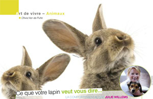 Parler avec son lapin, article rédigé par Julie Willems, comportementaliste lapin