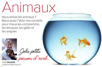 Avoir un poisson, article rédigé par Julie Willems, comportementaliste pour animaux à Auderghem