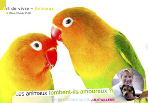 L'amour chez les animaux, article rédigé par Julie Willems, comportementaliste perroquet