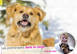 promener avec son chien en hiver, article rédigé par Julie Willems, comportementaliste canin - Auderghem