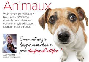 la peur des feux d'artifice chez le chien, article rédigé par Julie Willems, comportementaliste canin à Auderghem