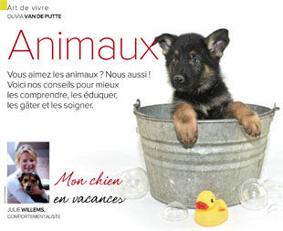 Chien dans bassine, article rédigé par Julie Willems, comportementaliste chien de Bxl
