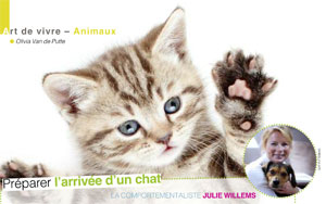 Accueillir un chaton à la maison, article rédigé par Julie Willems, comportementaliste chat Auderghem