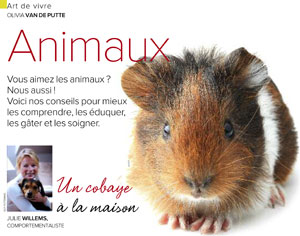 prendre soin d'un cobaye, document rédigé par Julie Willems, comportementaliste animalier Bxl