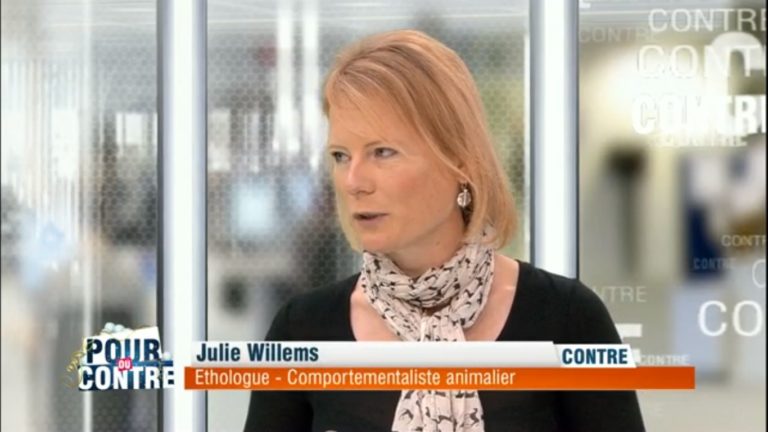 Emission Pour ou contre avec Julie Willems, éthologue-comportementaliste animalier