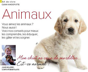 Chiot qui mordille, document rédigé par Julie Willems, éducation chiot Bxl