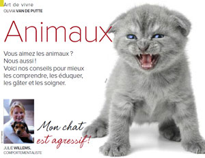 Chat agressif, article rédigé par Julie Willems, comportementaliste pour chats à Bruxelles