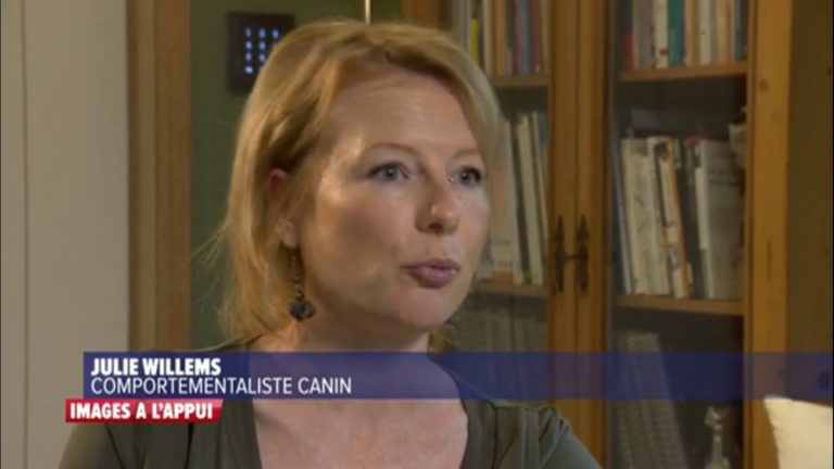 Chien méchant, émission Images à l'appui avec Julie Willems, comportementaliste canin