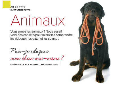 éduquer mon chien, Article écrit par Julie Willems, éthologue-comportementaliste canin