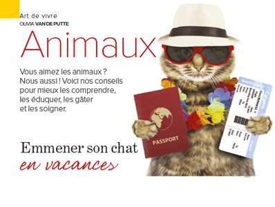vacances avec son chat, Article de Julie Willems, éthologue-comportementaliste canin