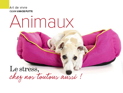 stress chien, Article rédigé par Julie Willems, comportementaliste canin