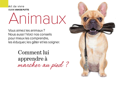 apprendre marche au pied