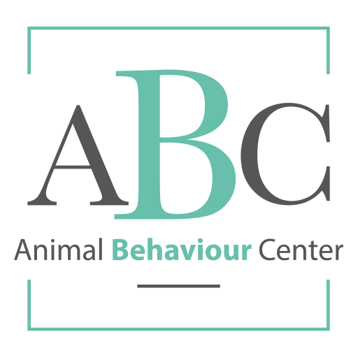 Animal Behaviour - Comportementaliste chien - chat