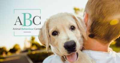 Centre Animal Behaviour